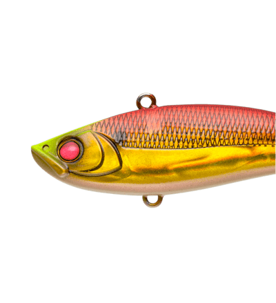 UPRIZING70 HEAVY WEIGHT | ルアー | APIA